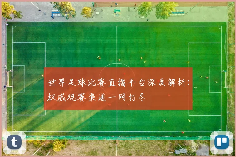 世界足球比赛直播平台深度解析：权威观赛渠道一网打尽